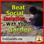 Beat Social Isolation