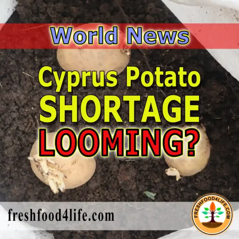 cyprus potato shortage