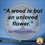 Friday FRESH Meme - garden weed