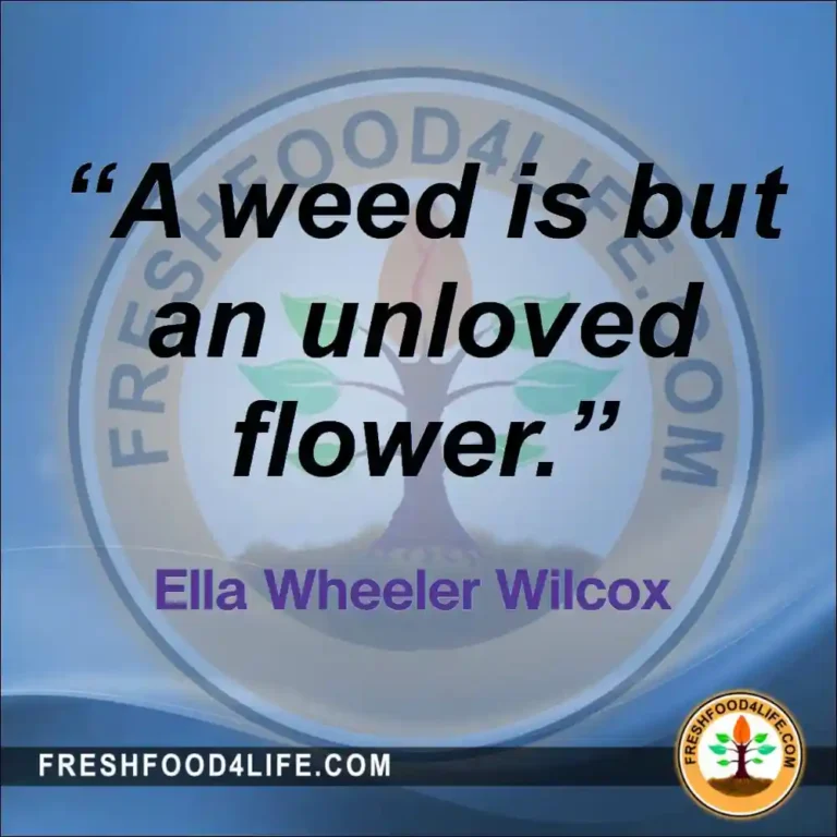 Friday FRESH Meme - garden weed