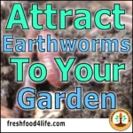 how to attract earthworms