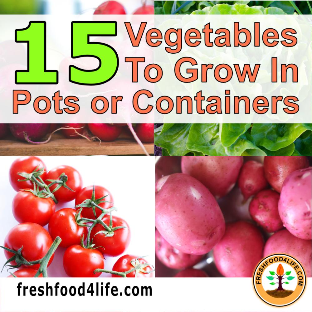 best vegetables to grow in pots