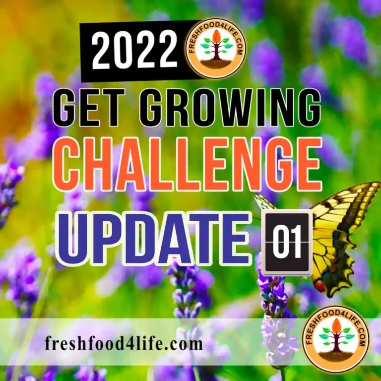 2022 Get Growing Challenge Week 1