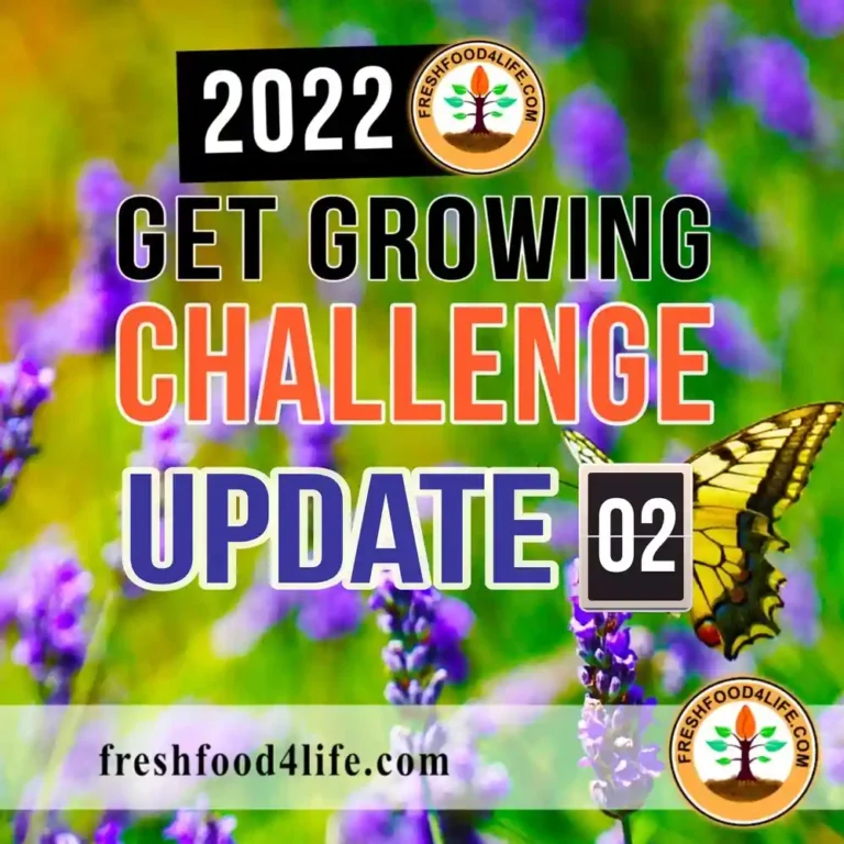 2022 Get Growing Challenge Week 2