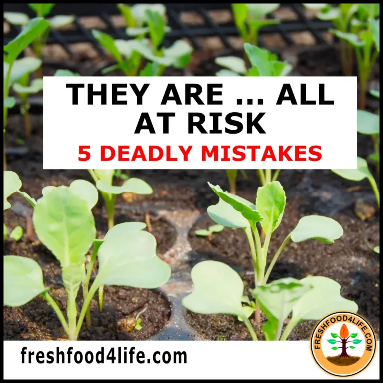 WARNING 5 DEADLY Seedling Mistakes