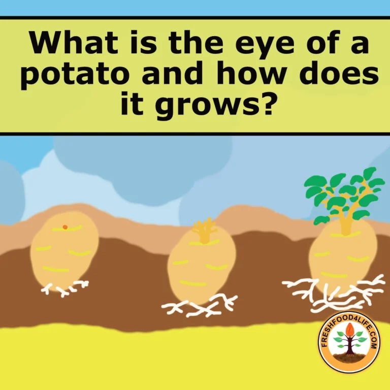 What is the eye of a potato CHART