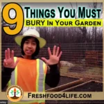 9 Things to bury in your garden