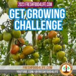 Fresh Food 4 Life - 2023 Get Growing Challenge