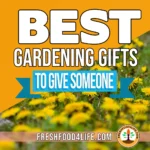 Best Gardening Gifts