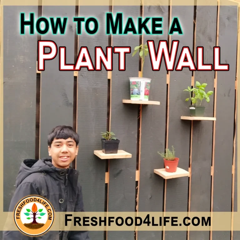 How to Make a Plant Wll