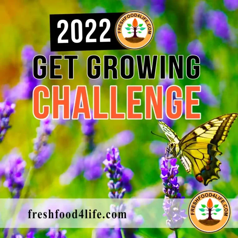 FreshFood4Life 2022 Get Growing Challenge