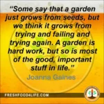 A garden quote by Joanne Gaines