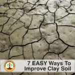 Improving Drainage Clay Soil