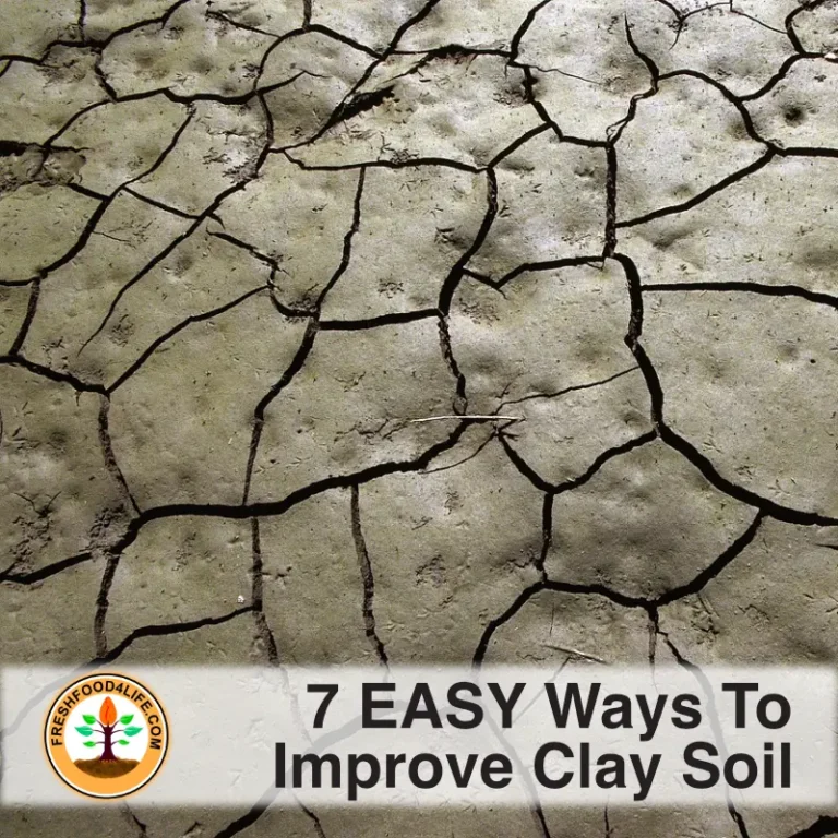 Improving Drainage Clay Soil