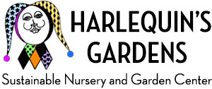 Harlequins Gardens