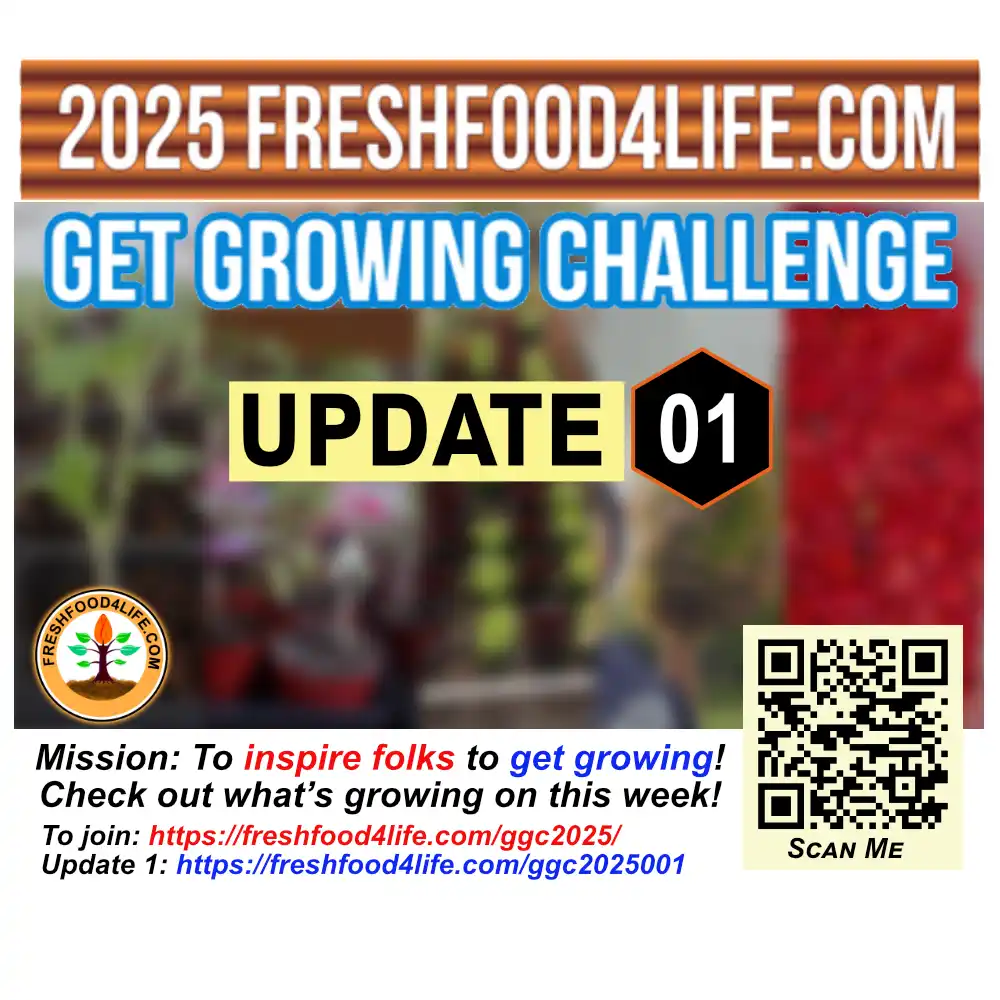 Get Growing Challenge - Update 1