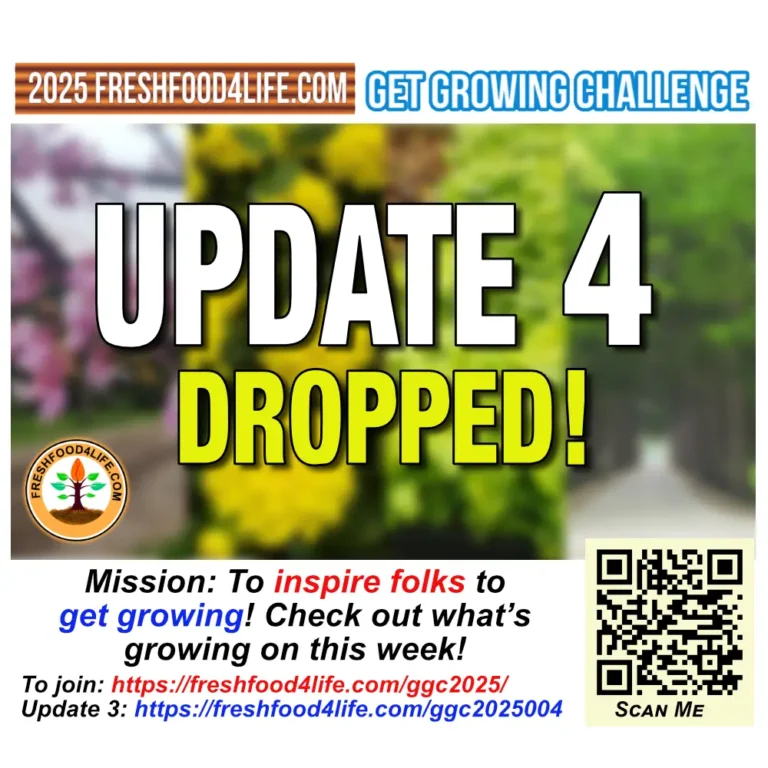 2025 Get Growing Challenge Week 4