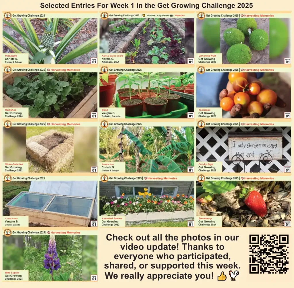 Snapshot Get Growing Challenge