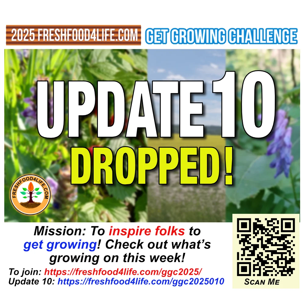 Week 10 Garden Challenge Update