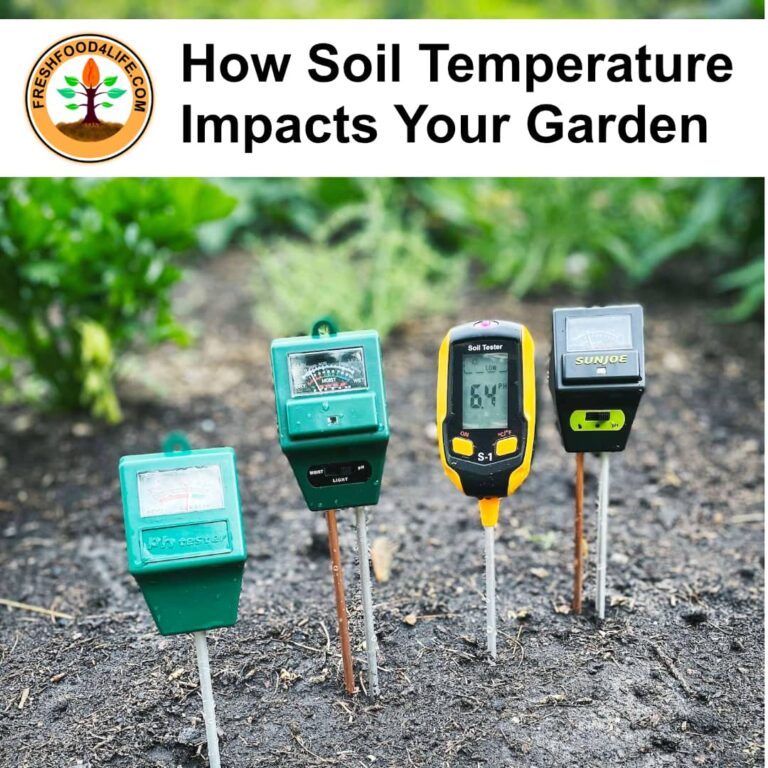 Soil Temperature Impact On Your Garden