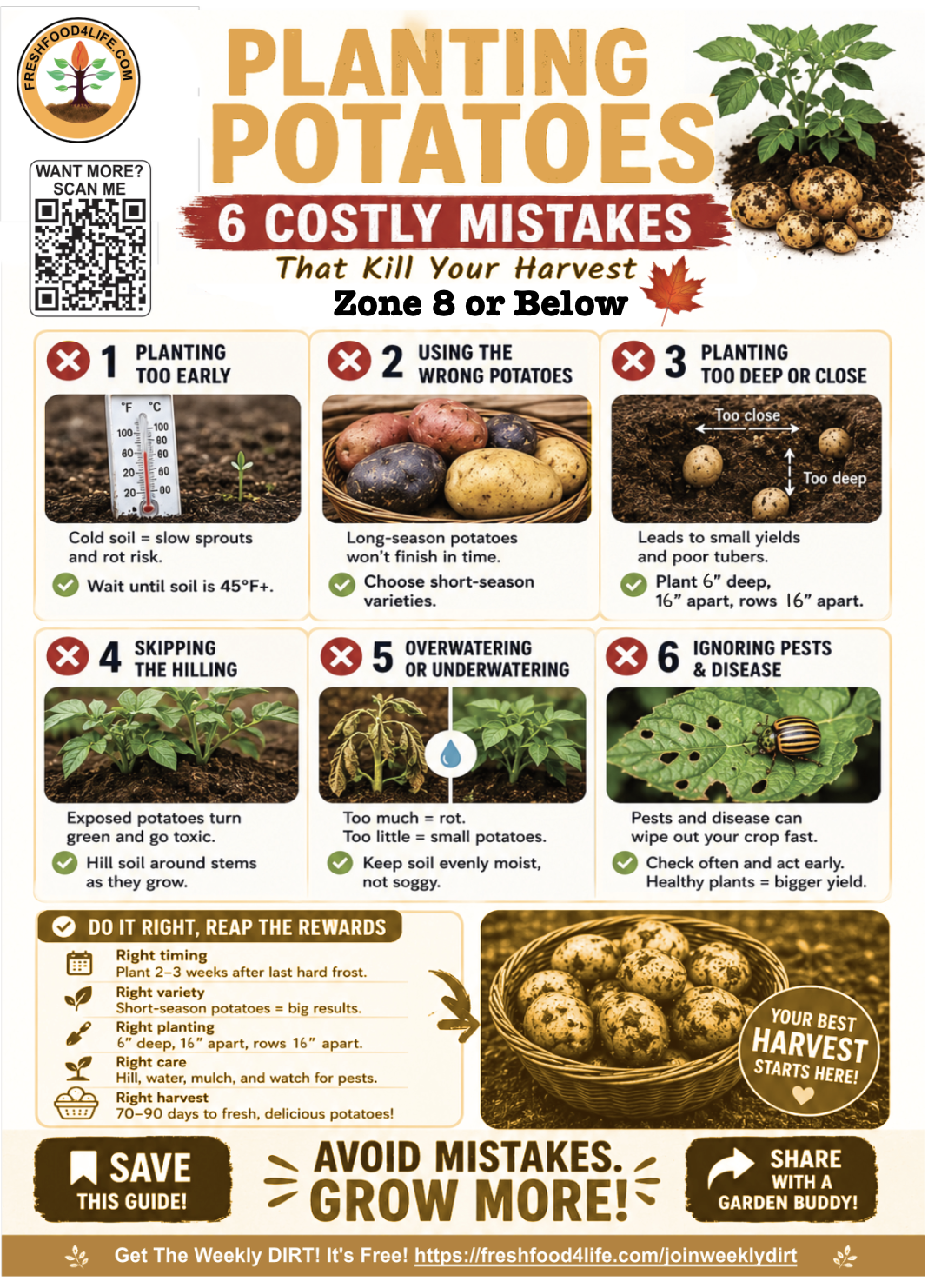 Printable Ultimate Potato Guide.pdf Potato Growing Cheatsheet - FRESHFOOD4LIFE.COM