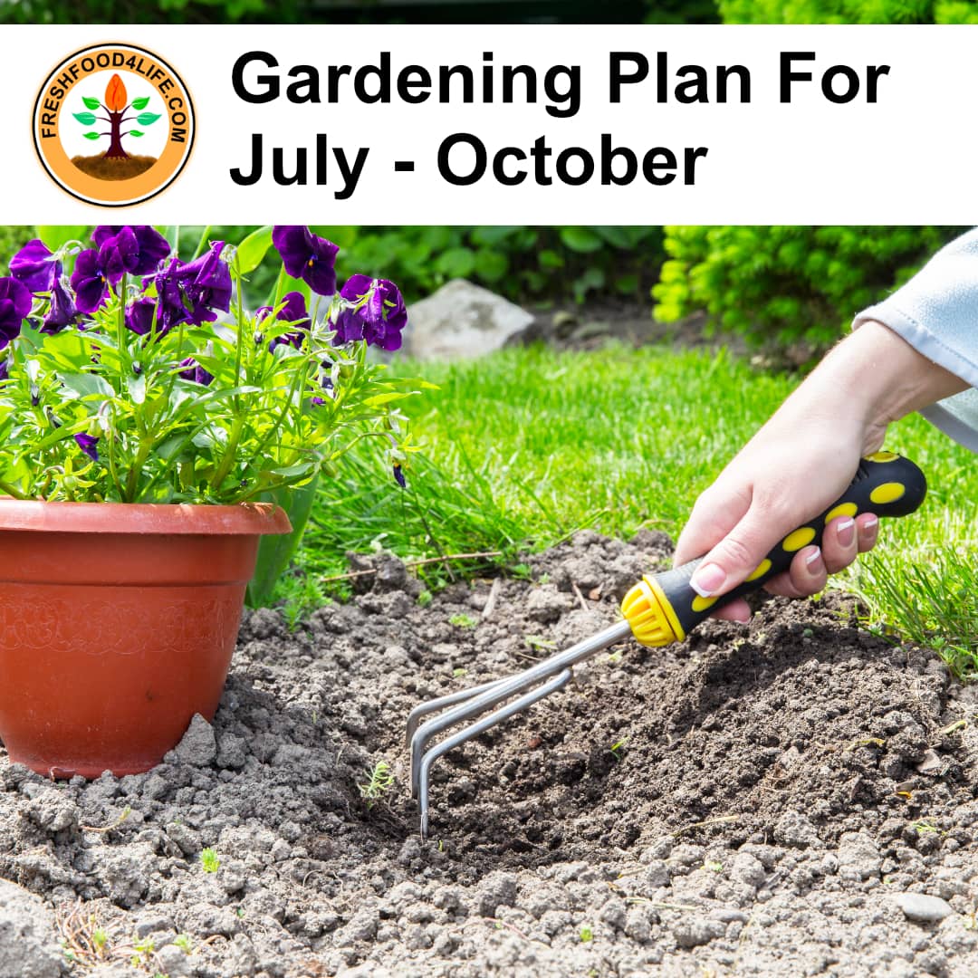 Backyard Gardening Plan For July To October