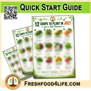 Quickstart Guide: 12 Crops To Plant In July