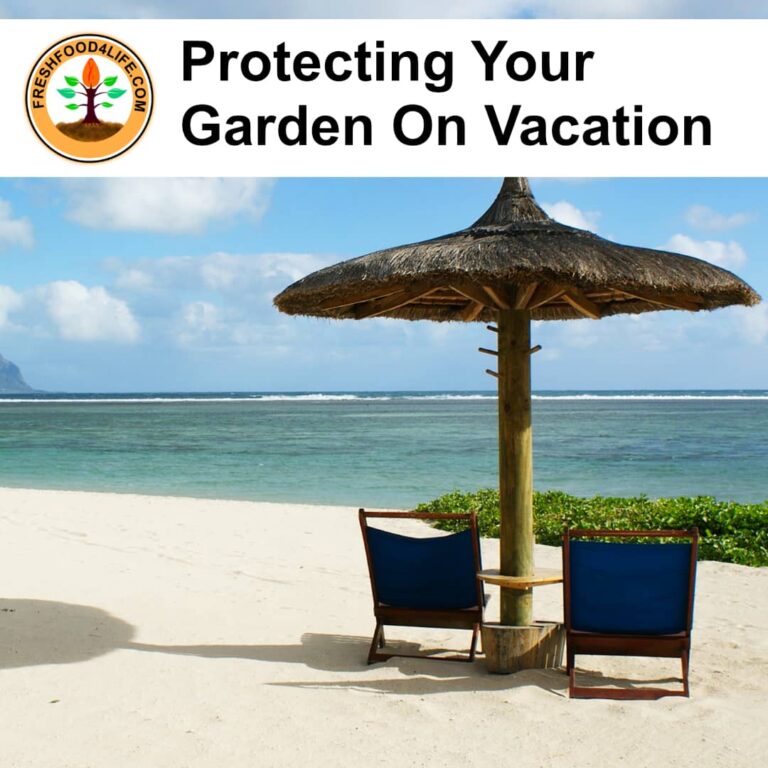 Vacations Don’t Mean Giving Up On Your Plants: Strategies For Protecting Your Garden While You Travel